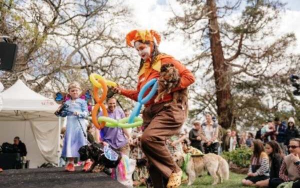 Junction Arts Festival Returns to Transform Launceston