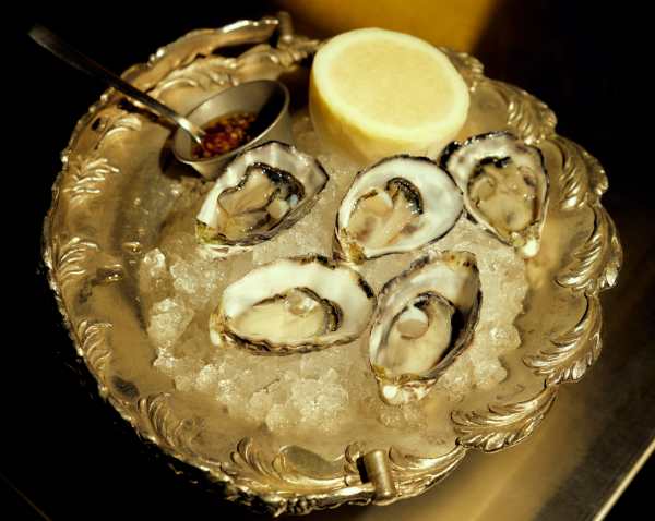 Lobby Lounge - Oysters, native mignonette, lemon _- photography by Lewis Stevenson