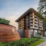 Mulberry Grove Opens Luxury Forest Living for All Ages