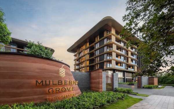 Mulberry Grove Opens Luxury Forest Living for All Ages