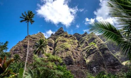 Tahiti Specialist Programme Gets a Paradise-Packed Revamp