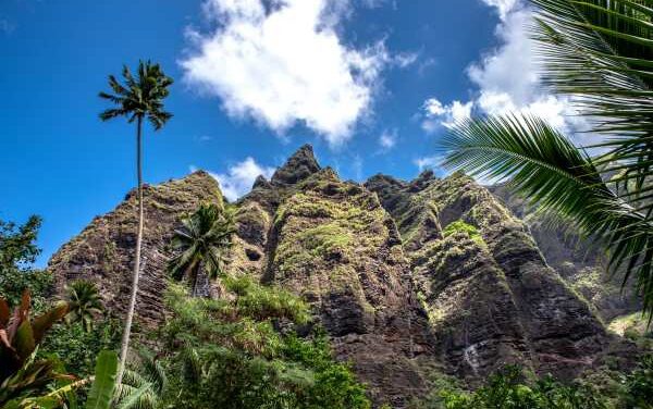 Tahiti Specialist Programme Gets a Paradise-Packed Revamp