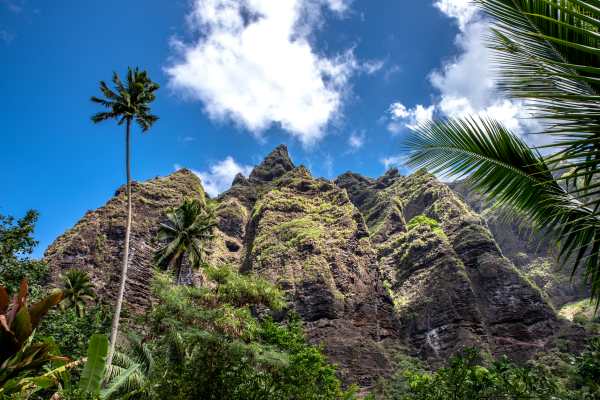 Tahiti Specialist Programme Gets a Paradise-Packed Revamp
