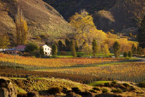 Queenstown Event Puts Biosecurity on Everyone’s Radar