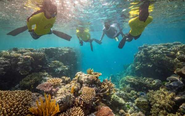 Coral Expeditions Dives Into Great Barrier Reef Science