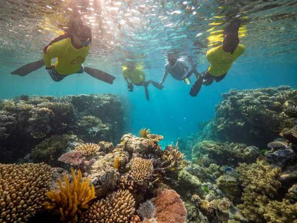 Coral Expeditions Dives Into Great Barrier Reef Science