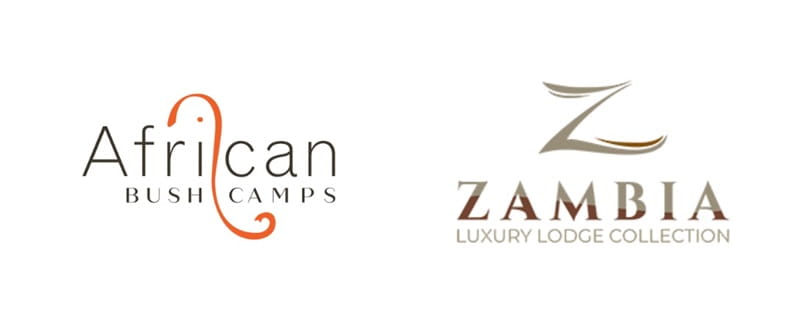 Zambia Safari Power Shift Unites Four Luxury Lodges for 2027