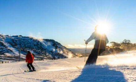 Perisher Sunrise Sessions Unlock Blue Cow at Dawn