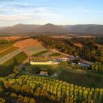 TarraWarra Estate Joins Australia’s Ultimate Wine Club