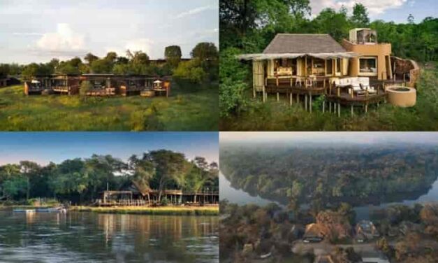 Zambia Luxury Lodge Collection Opens Bold New Safari Chapter