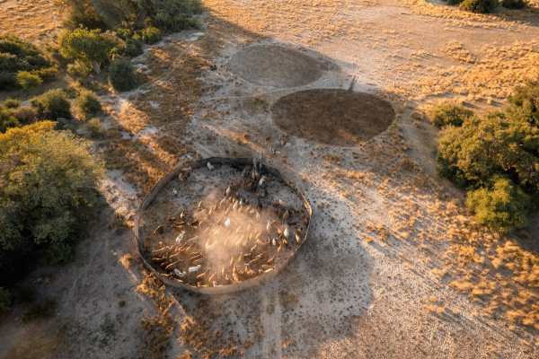 Wilderness Triumphs at Virtuoso Stewardship Awards