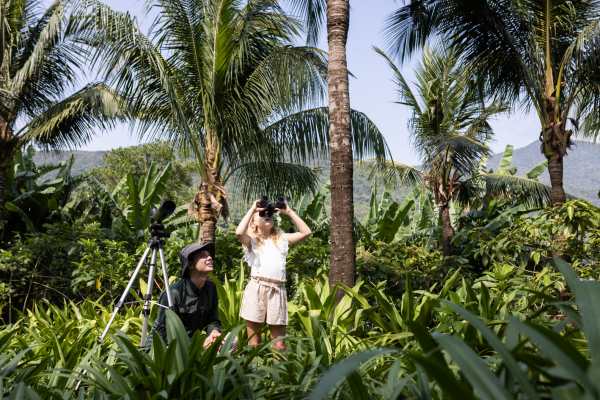 Vietnam Family Adventure: From Culture to Coast