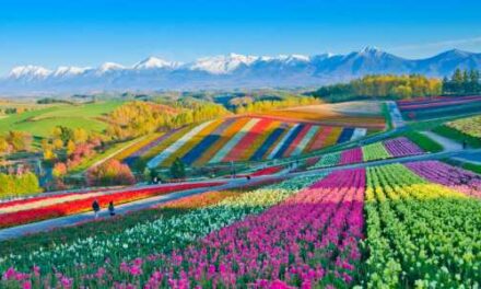 Wendy Wu Tours Unveils Hidden Hokkaido Adventure