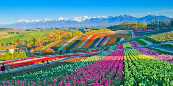Wendy Wu Tours Unveils Hidden Hokkaido Adventure
