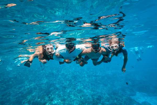 Maui Snorkeling Makes Waves With Tripadvisor Win