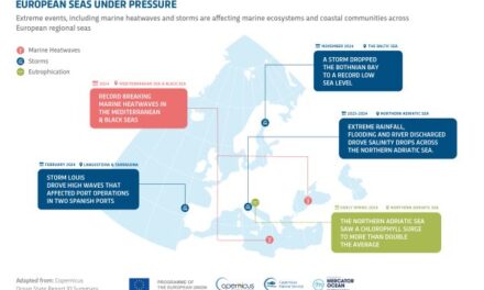 Copernicus Report Warns of Rapid Ocean Transformation
