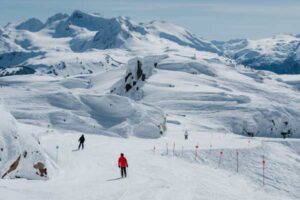 14-03-2024-MattSylvestre-BluebirdScenes-3