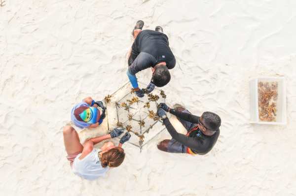 4-KVM-Coral-Planting.jpg
