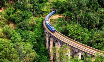 Sri Lanka Goes Off-Script for Authentic Adventures