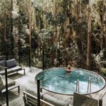 Carawirry Forest Escape: Nature Calls in Barrington Tops
