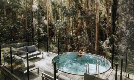 Carawirry Forest Escape: Nature Calls in Barrington Tops