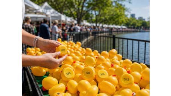 Parramatta Duck Race Makes Waves for Sick Kids