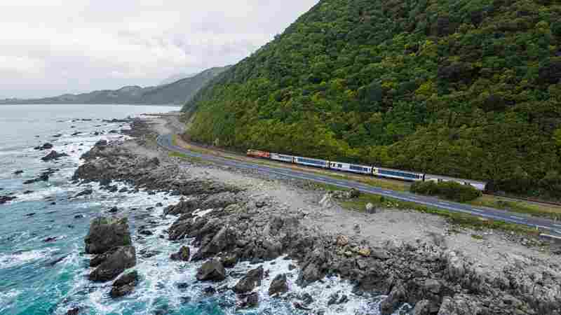 Coastal Pacific Roars Back for South Island Spring