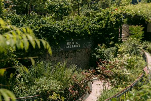 Fort Canning Park Spice Garden
