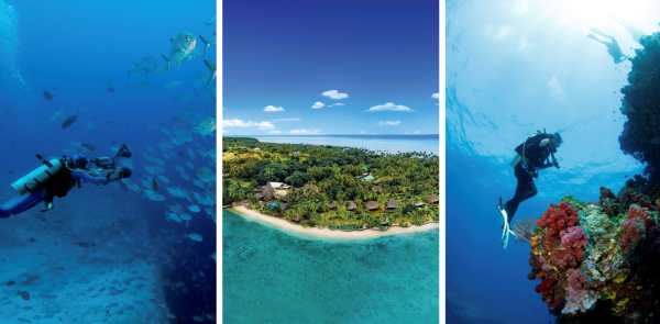 Jean-Michel Cousteau Resort Dives Into Rejuvenation