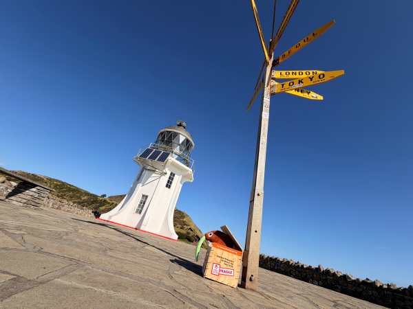 Great Kiwi Pukupuku Road Trip Takes Flight for Bird Crown