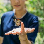 Travelife Certification Powers a Greener Travel Future
