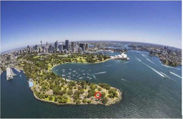 Mrs Macquaries Point (The Point)