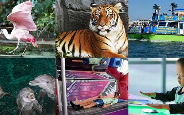 Tampa Bay C3 Ticket Unlocks More Ways to Explore