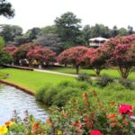 Virginia Turns Up the Charm for Late Summer 2026