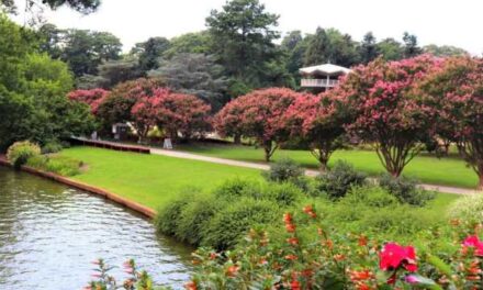 Virginia Turns Up the Charm for Late Summer 2026