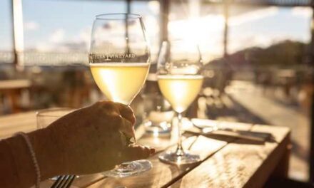 Country Queensland Springs to Life with Rural Adventures
