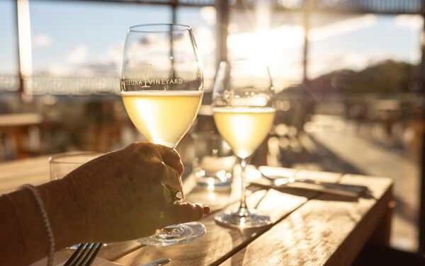 Country Queensland Springs to Life with Rural Adventures
