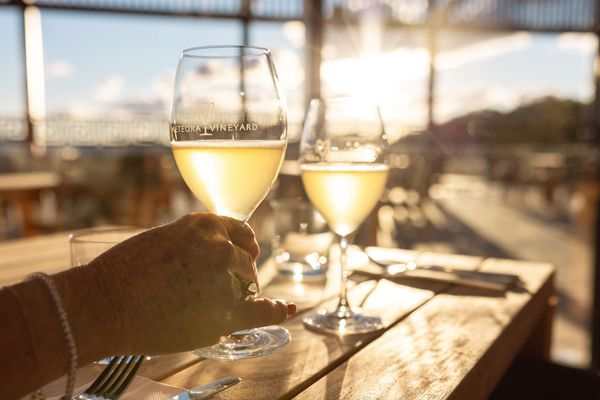 Country Queensland Springs to Life with Rural Adventures