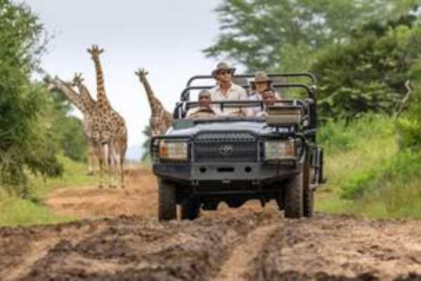 Safari comes naturally at the reopened andBeyond Phinda Vlei Lodge. 1