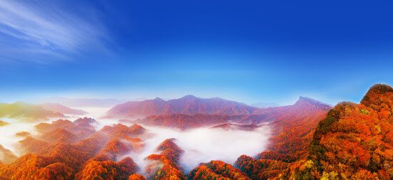 Sichuan’s Red Leaf Festival Ignites Autumn in Asia