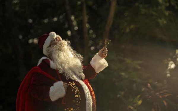 Festive Magic Blooms at Noku Maldives’ Enchanted Gardens