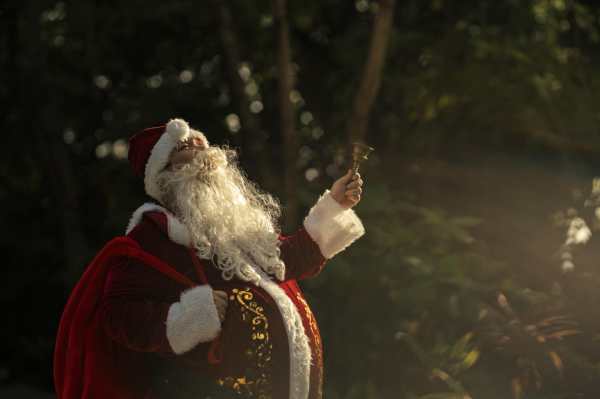 Festive Magic Blooms at Noku Maldives’ Enchanted Gardens