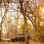 African Safari Upsell Secret: Slow Down, Sell More