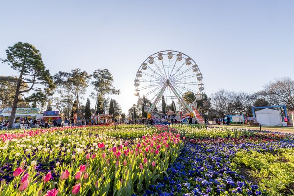 Canberra Springs to Life With Must-See Events