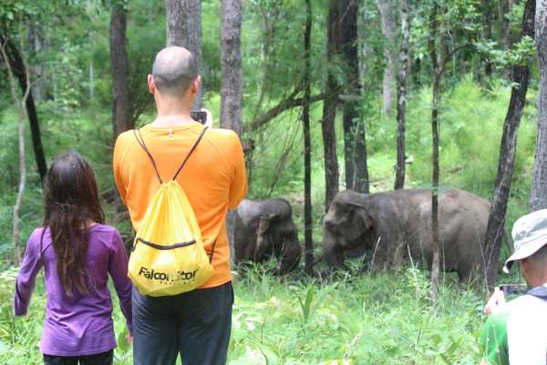 YDNP 20220704 Elephant Experience tour 04-07-2022