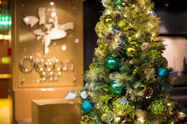 Holland America Line Serves Up Holiday Magic at Sea