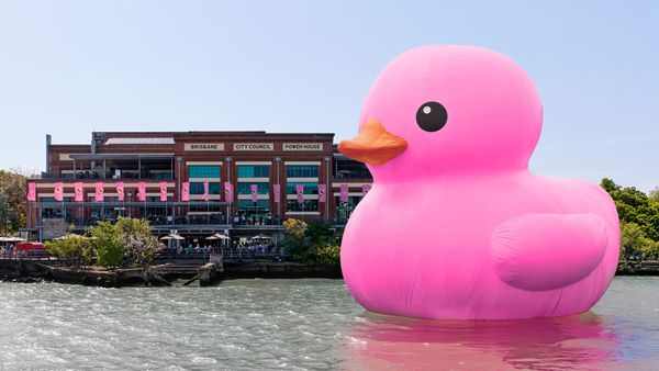 Brisbane Festival Season Comes Alive with Pink Duck