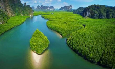 Krabi Luxury Escapes: Paradise With a Posh Twist