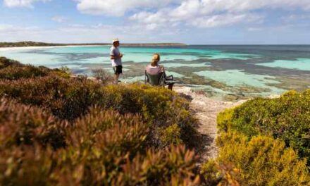 QLD Campers Warned: Snake-Risk Hotspots Revealed