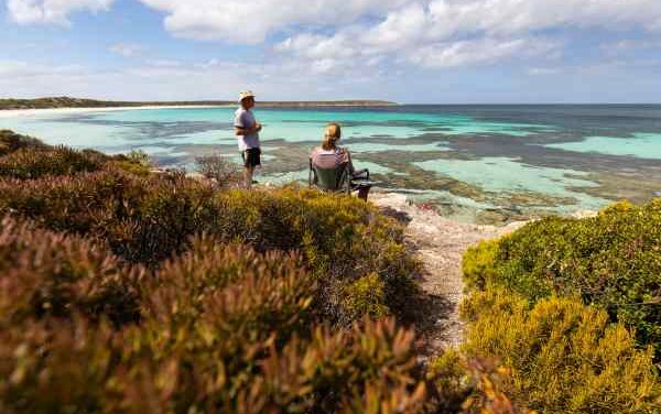 QLD Campers Warned: Snake-Risk Hotspots Revealed